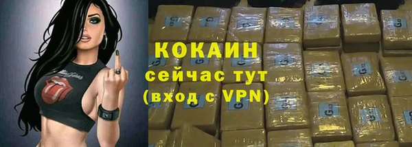стафф Верхний Тагил