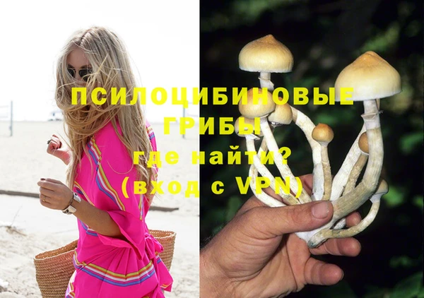 стафф Верхний Тагил