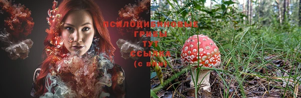 стафф Верхний Тагил